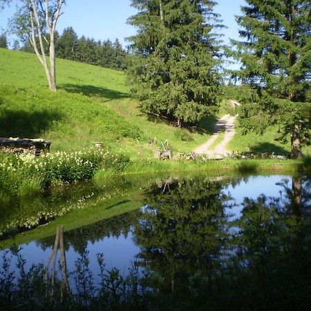 Grundhaeusle Apartment Gutenbach Екстериор снимка