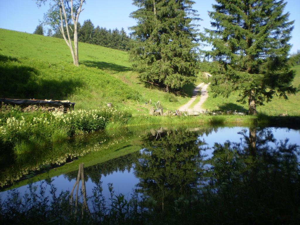 Grundhaeusle Apartment Gutenbach Екстериор снимка