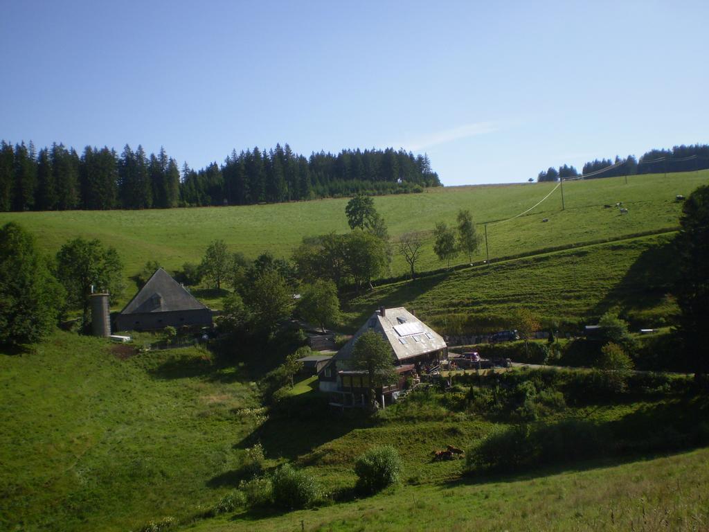 Grundhaeusle Apartment Gutenbach Екстериор снимка